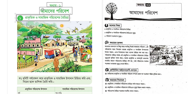 কিভাবে বৈচিত্র্যপূর্ণ প্রাকৃতিক পরিবেশ গড়ে ওঠে