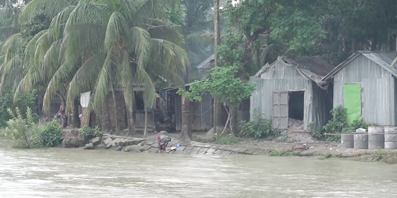 মানুষের হস্তক্ষেপ ও পরিবেশ পরিবর্তন