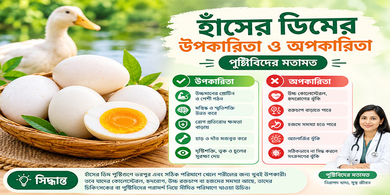 হাঁসের ডিমের উপকারিতা ও অপকারিতা