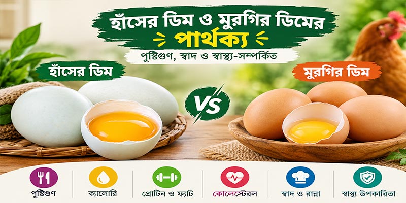 হাঁসের ডিম ও মুরগির ডিমের পার্থক্য